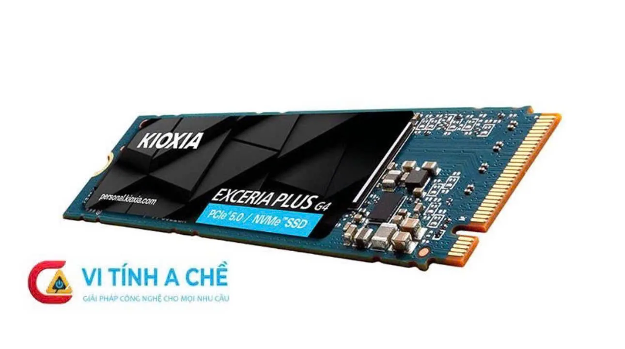 Ổ cứng SSD Kioxia 1TB Exceria Plus G4 (LVD10Z001TG8)
