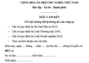 Chính Sách Thanh Toán Thanh Lý Doanh Nghiệp 💳 | 2025