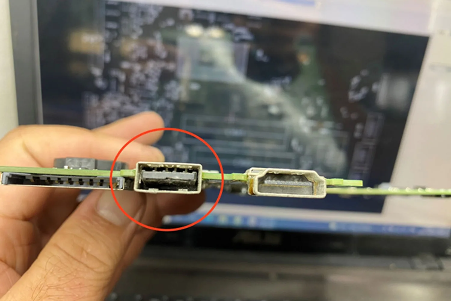 Tại Sao Cổng Usb Laptop Dễ Hỏng? Nguyên Nhân Do Thao Tác Sử Dụng