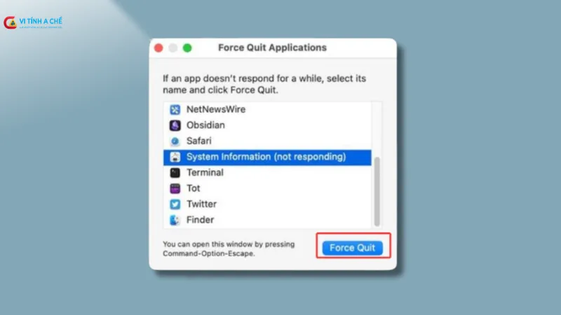Command + Option + Esc Ở Macos