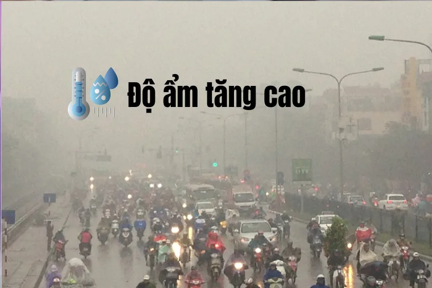 Độ Ẩm Tăng Cao Khiến Mạch Điện Dễ Bị Ẩm Gây Ra Nhanh Hư Bàn Phím