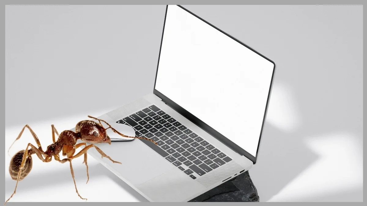 Loa Laptop Bị Rè Và Nhỏ Dần: Nguyên Nhân &Amp; Cách Xử Lý An Toàn 3 Loa Laptop Bị Rè Và Nhỏ Dần: Nguyên Nhân &Amp; Cách Xử Lý An Toàn