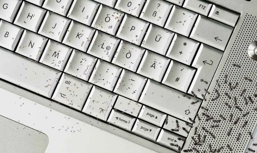 Loa Laptop Bị Rè Và Nhỏ Dần: Nguyên Nhân &Amp; Cách Xử Lý An Toàn 5 Loa Laptop Bị Rè Và Nhỏ Dần: Nguyên Nhân &Amp; Cách Xử Lý An Toàn