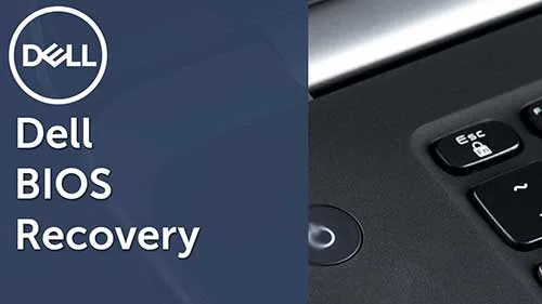 Nạp Bios Laptop Dell Ở Đâu Uy Tín? Báo Giá Tại Tp.hcm