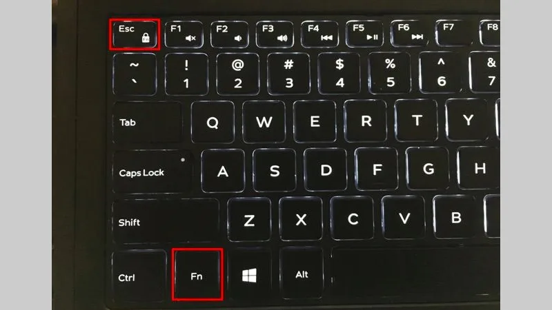 Phím Fn Laptop Không Hoạt Động: Nguyên Nhân &Amp; Cách Khắc Phục Hiệu Quả