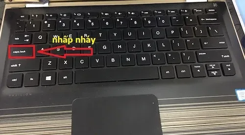 Sửa Laptop Hp Nháy Đèn Caps Lock – Báo Lỗi Gì? Giá Bao Nhiêu?