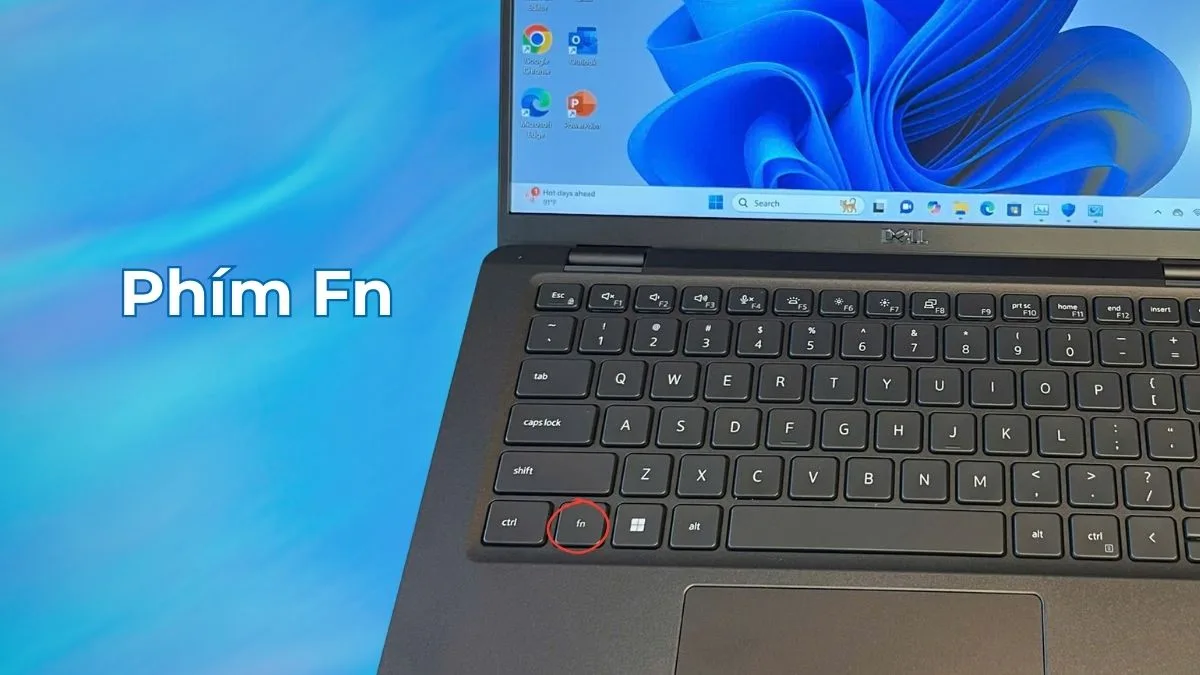 Sửa Phím Fn Dell Không Hoạt Động Ở Đâu? Báo Giá Tp.hcm