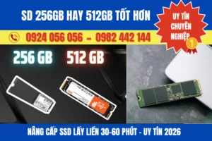 Ssd 256Gb Hay 512Gb Tốt Hơn