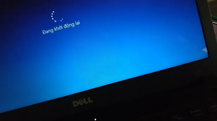 Laptop Cũ Có Nên Nâng Ssd Không? Cách Tăng Tốc Máy Hiệu Quả 2026 2 Laptop Cũ Có Nên Nâng Ssd Không