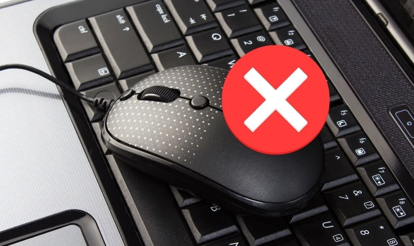 Chuột Laptop Bị Đơ