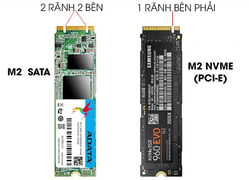 Ssd Nvme Và Ssd Sata Khác Nhau Gì